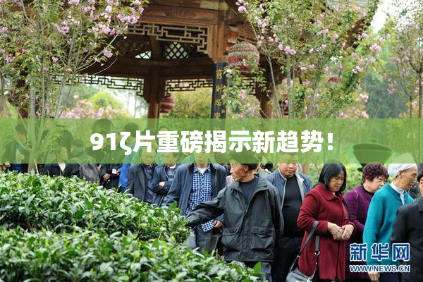 91ζ片重磅揭示新趋势！