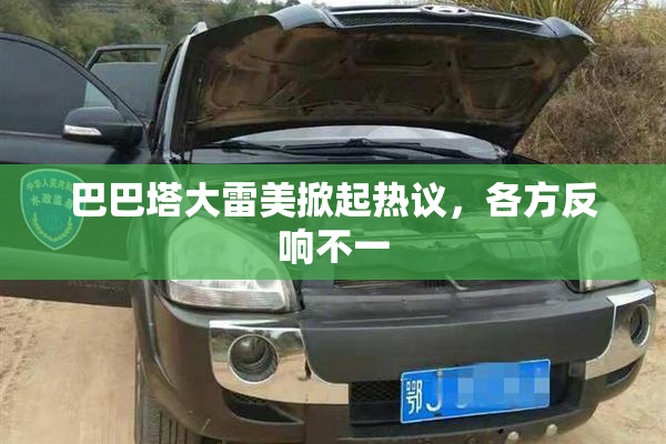 巴巴塔大雷美掀起热议，各方反响不一