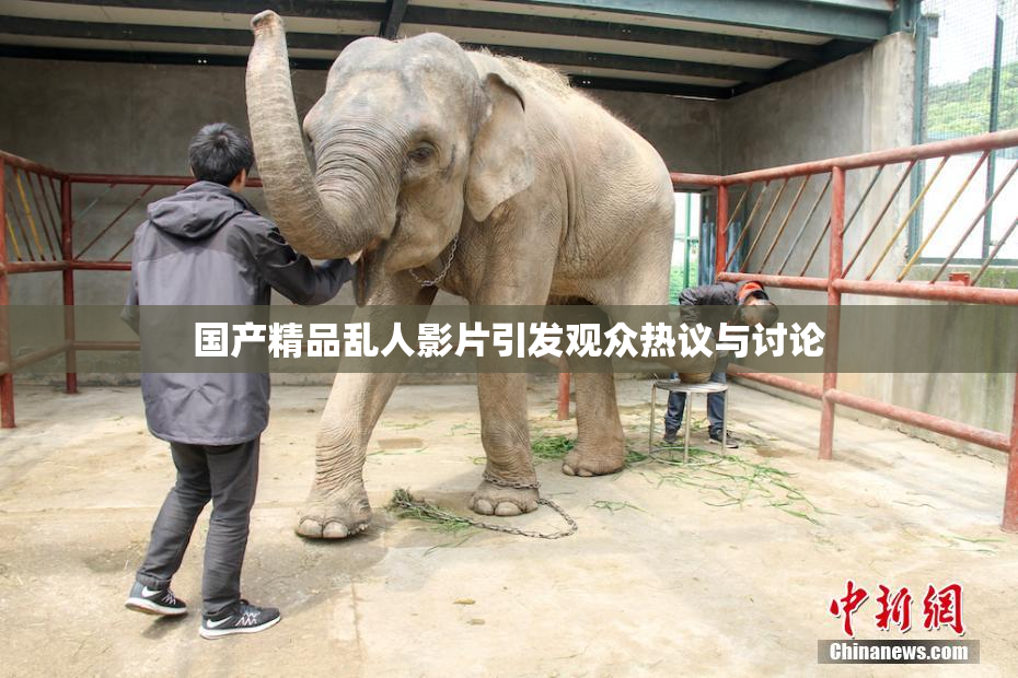 国产精品乱人影片引发观众热议与讨论