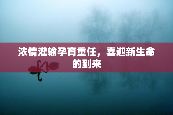 浓情灌输孕育重任，喜迎新生命的到来