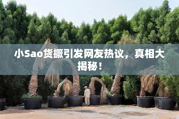 小Sao货撅引发网友热议，真相大揭秘！