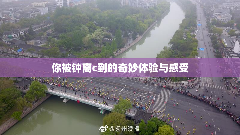 你被钟离c到的奇妙体验与感受