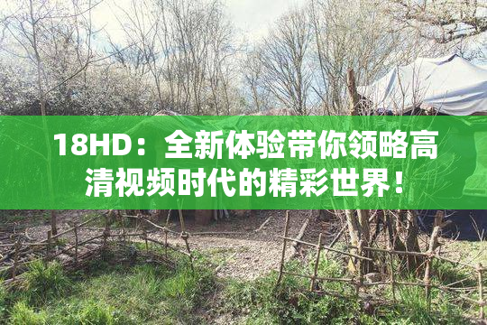 18HD：全新体验带你领略高清视频时代的精彩世界！