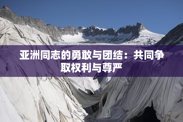 亚洲同志的勇敢与团结：共同争取权利与尊严