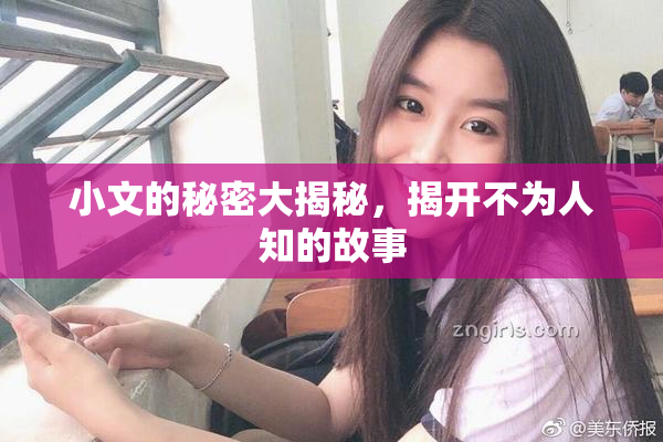 小文的秘密大揭秘，揭开不为人知的故事
