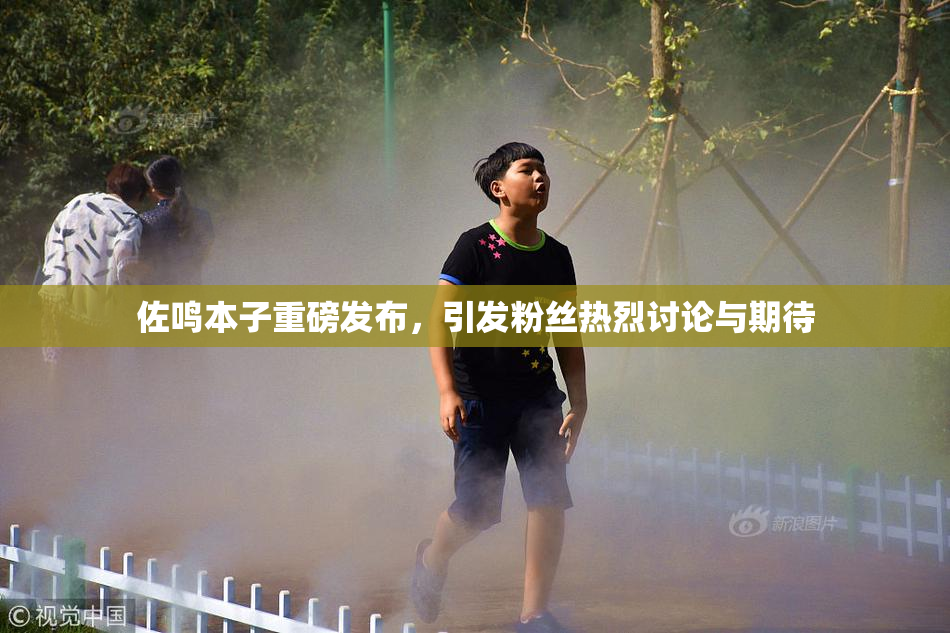 佐鸣本子重磅发布，引发粉丝热烈讨论与期待