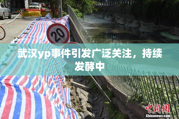 武汉yp事件引发广泛关注，持续发酵中