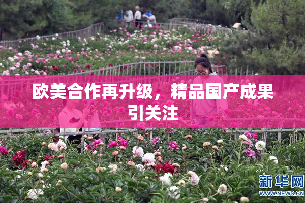 欧美合作再升级，精品国产成果引关注