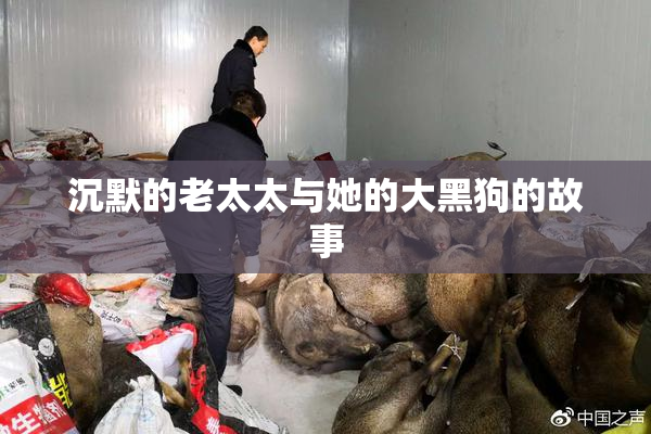 沉默的老太太与她的大黑狗的故事