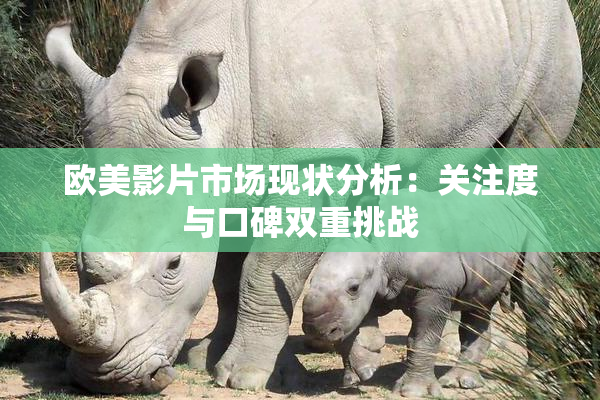 欧美影片市场现状分析：关注度与口碑双重挑战