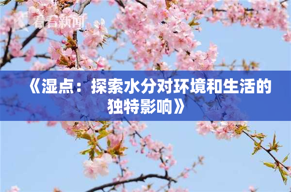 《湿点：探索水分对环境和生活的独特影响》