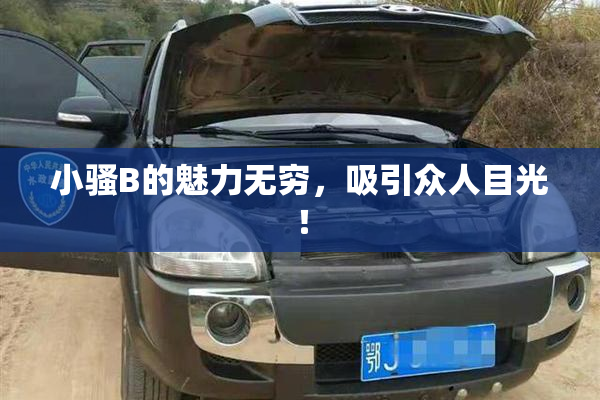 小骚B的魅力无穷，吸引众人目光！