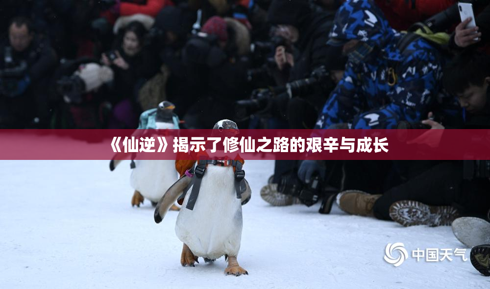 《仙逆》揭示了修仙之路的艰辛与成长