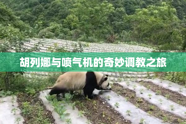 胡列娜与喷气机的奇妙调教之旅