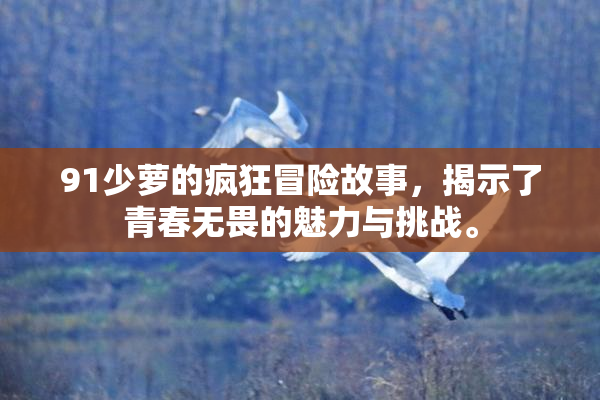 91少萝的疯狂冒险故事，揭示了青春无畏的魅力与挑战。