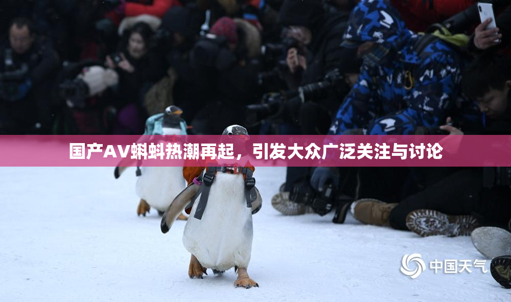 国产AV蝌蚪热潮再起，引发大众广泛关注与讨论