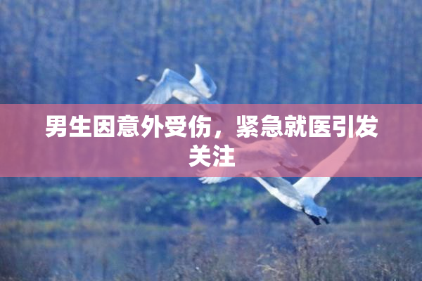 男生因意外受伤，紧急就医引发关注