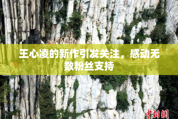 王心凌的新作引发关注，感动无数粉丝支持