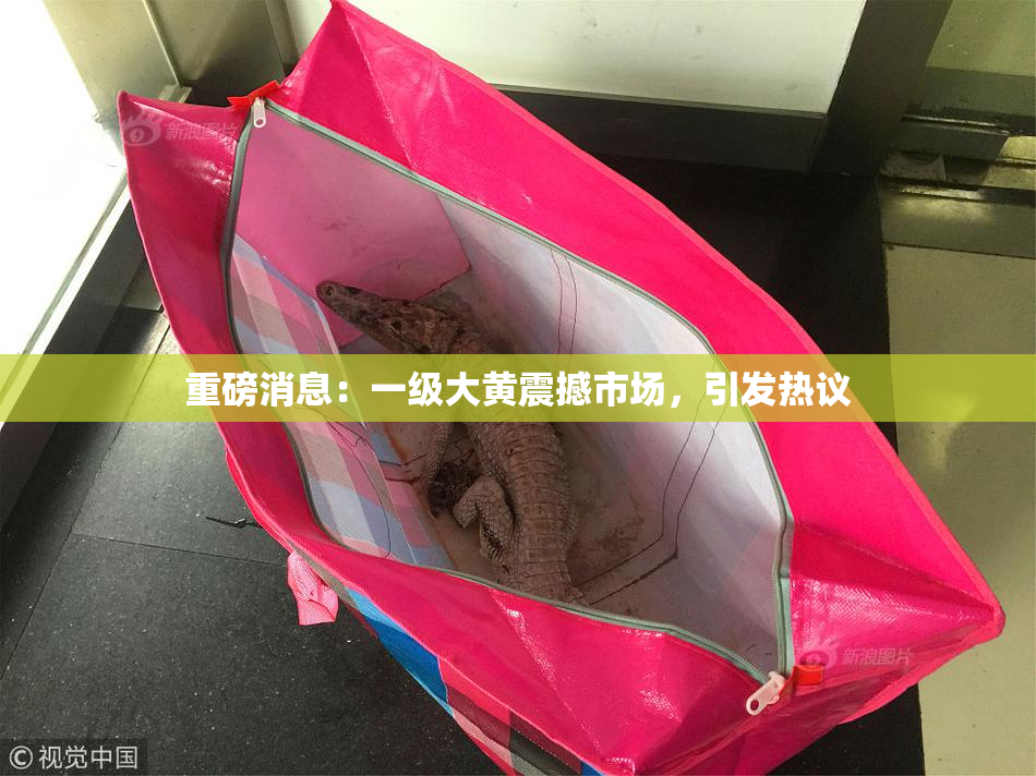 重磅消息：一级大黄震撼市场，引发热议