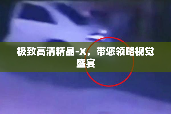 极致高清精品-X，带您领略视觉盛宴