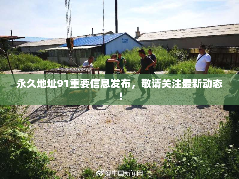 永久地址91重要信息发布，敬请关注最新动态！
