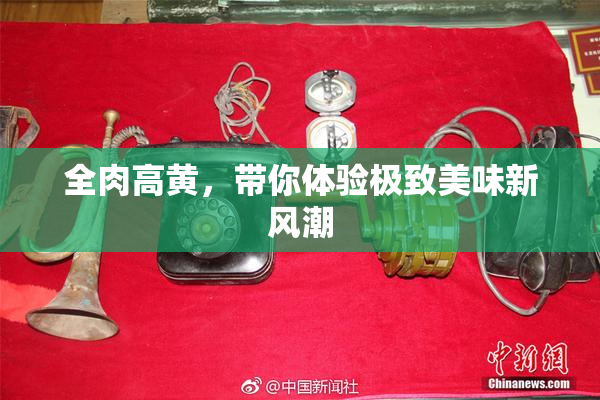 全肉高黄，带你体验极致美味新风潮