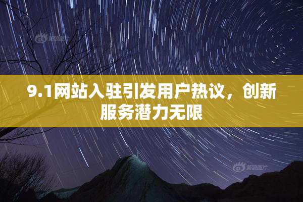 9.1网站入驻引发用户热议，创新服务潜力无限