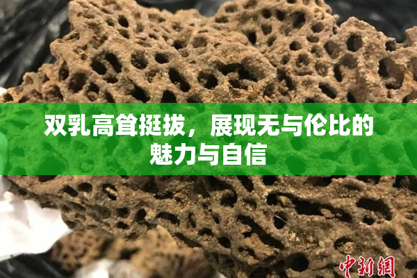 双乳高耸挺拔，展现无与伦比的魅力与自信
