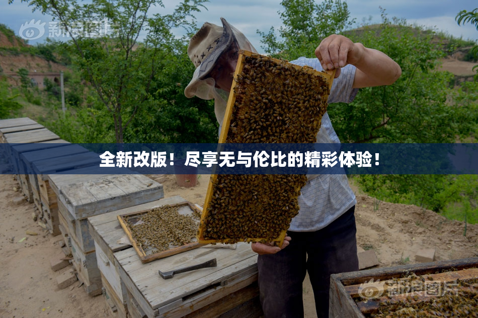 全新改版！尽享无与伦比的精彩体验！