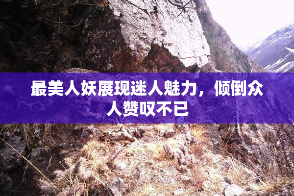 最美人妖展现迷人魅力，倾倒众人赞叹不已