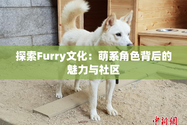 探索Furry文化：萌系角色背后的魅力与社区