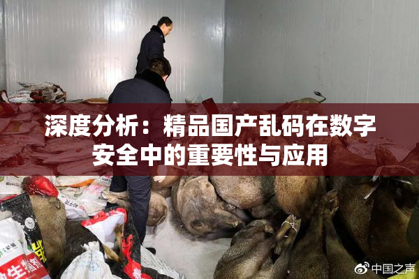 深度分析：精品国产乱码在数字安全中的重要性与应用