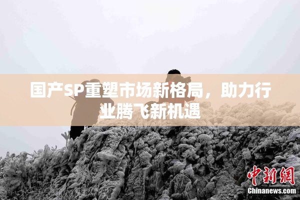 国产SP重塑市场新格局，助力行业腾飞新机遇