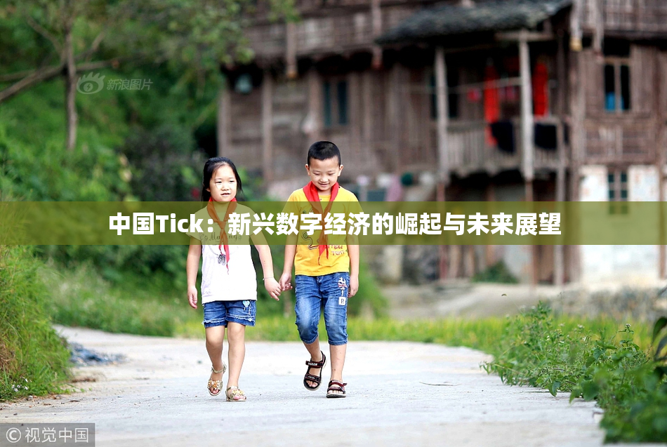 中国Tick：新兴数字经济的崛起与未来展望