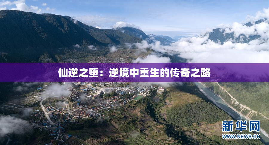 仙逆之堕：逆境中重生的传奇之路