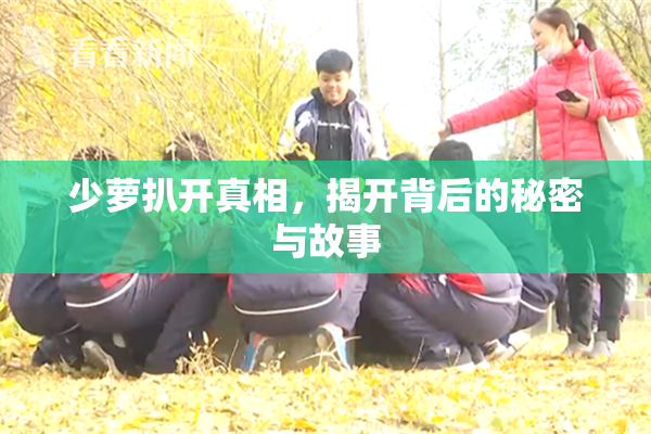 少萝扒开真相，揭开背后的秘密与故事