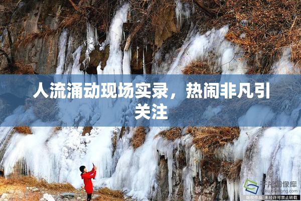 人流涌动现场实录，热闹非凡引关注