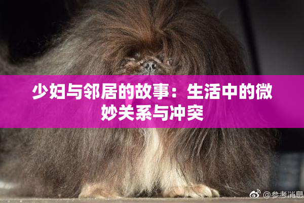 少妇与邻居的故事：生活中的微妙关系与冲突