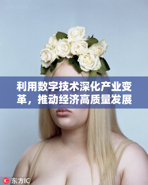 利用数字技术深化产业变革，推动经济高质量发展