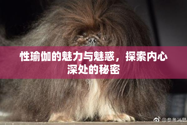 性瑜伽的魅力与魅惑，探索内心深处的秘密
