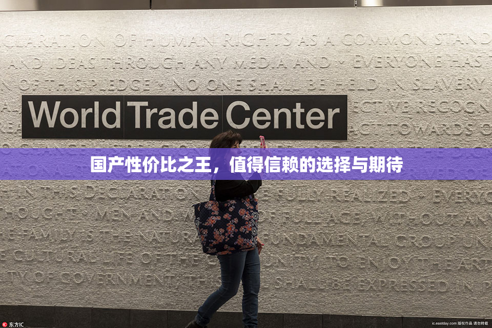 国产性价比之王，值得信赖的选择与期待