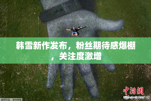 韩雪新作发布，粉丝期待感爆棚，关注度激增