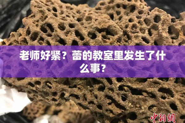 老师好紧？蕾的教室里发生了什么事？