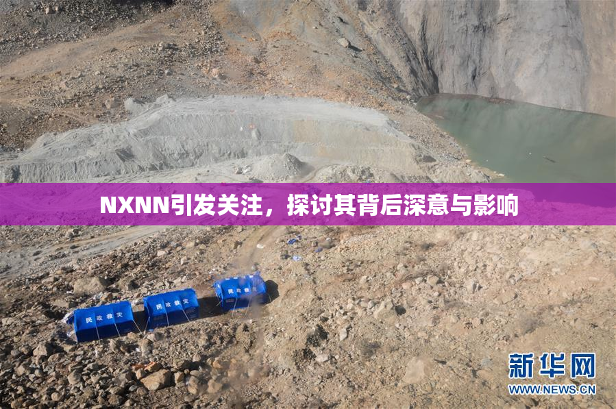 NXNN引发关注，探讨其背后深意与影响