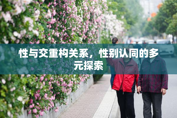 性与交重构关系，性别认同的多元探索