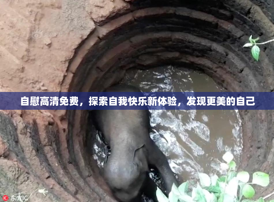 自慰高清免费，探索自我快乐新体验，发现更美的自己