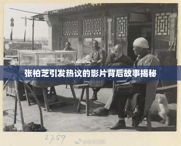 张柏芝引发热议的影片背后故事揭秘