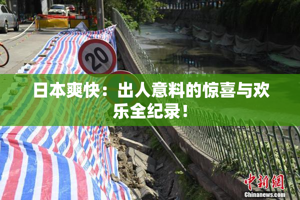 日本爽快：出人意料的惊喜与欢乐全纪录！