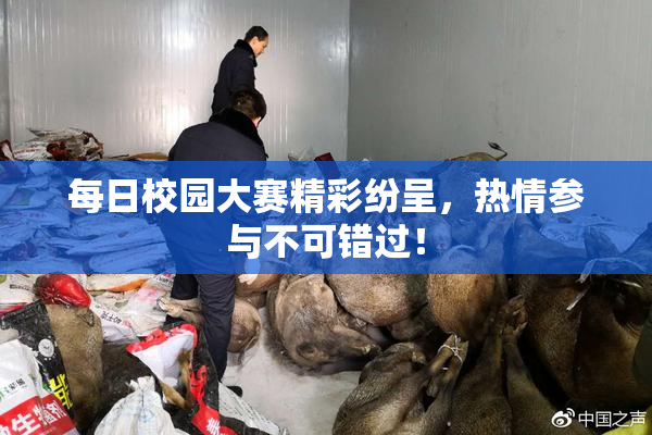 每日校园大赛精彩纷呈，热情参与不可错过！
