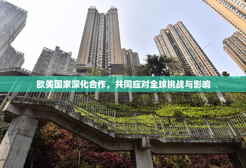 欧美国家深化合作，共同应对全球挑战与影响